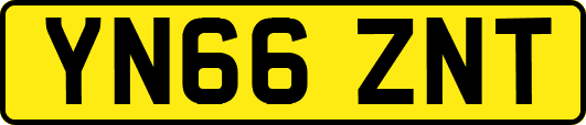 YN66ZNT