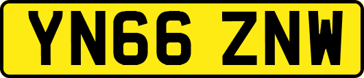 YN66ZNW