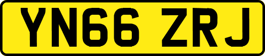 YN66ZRJ