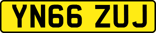 YN66ZUJ