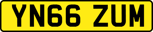 YN66ZUM