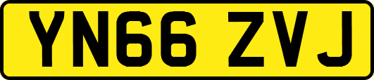 YN66ZVJ
