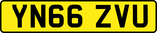 YN66ZVU