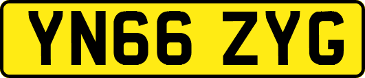 YN66ZYG