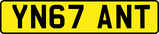 YN67ANT