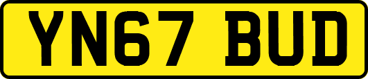 YN67BUD
