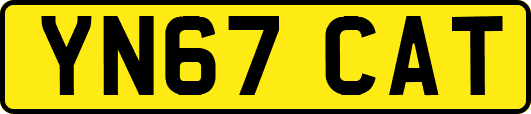 YN67CAT