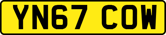 YN67COW