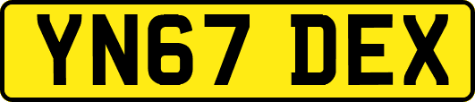 YN67DEX