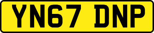 YN67DNP