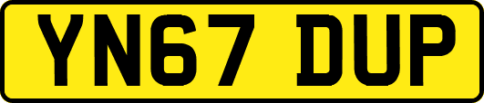 YN67DUP