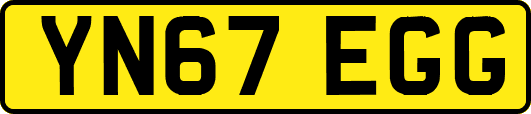 YN67EGG