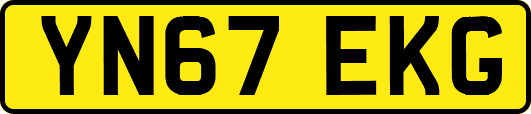 YN67EKG