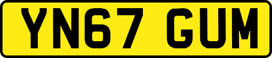 YN67GUM