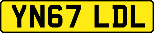 YN67LDL