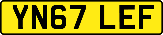 YN67LEF