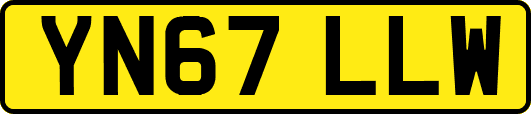YN67LLW