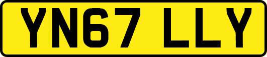 YN67LLY