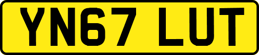 YN67LUT