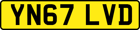 YN67LVD