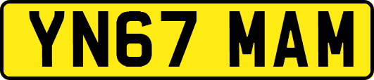 YN67MAM