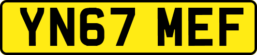YN67MEF