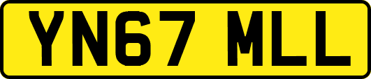 YN67MLL