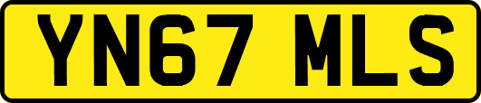 YN67MLS