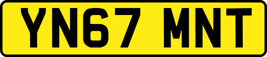 YN67MNT