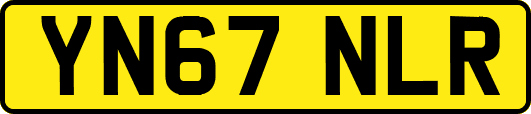 YN67NLR