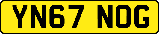 YN67NOG