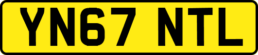 YN67NTL
