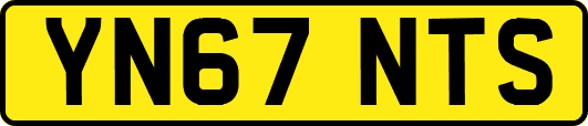YN67NTS