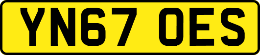 YN67OES