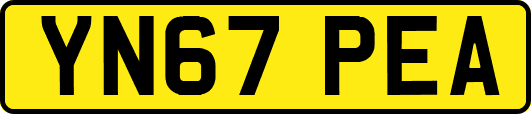 YN67PEA