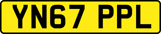 YN67PPL