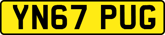 YN67PUG