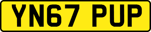 YN67PUP
