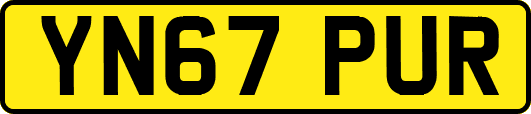 YN67PUR