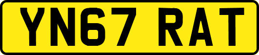 YN67RAT