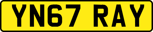 YN67RAY