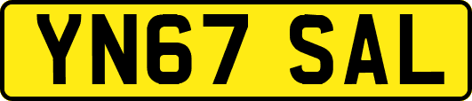 YN67SAL