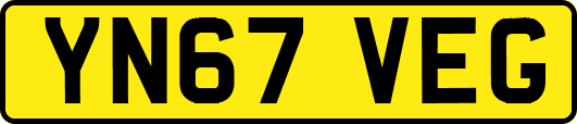 YN67VEG