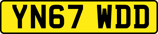YN67WDD