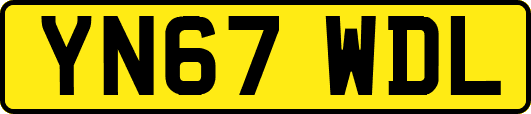 YN67WDL