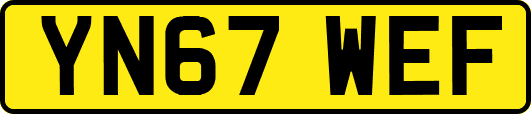 YN67WEF