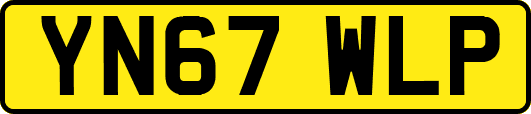 YN67WLP