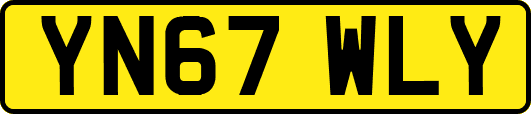 YN67WLY