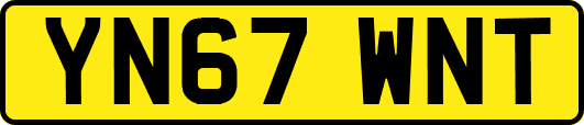 YN67WNT