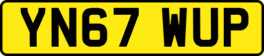 YN67WUP